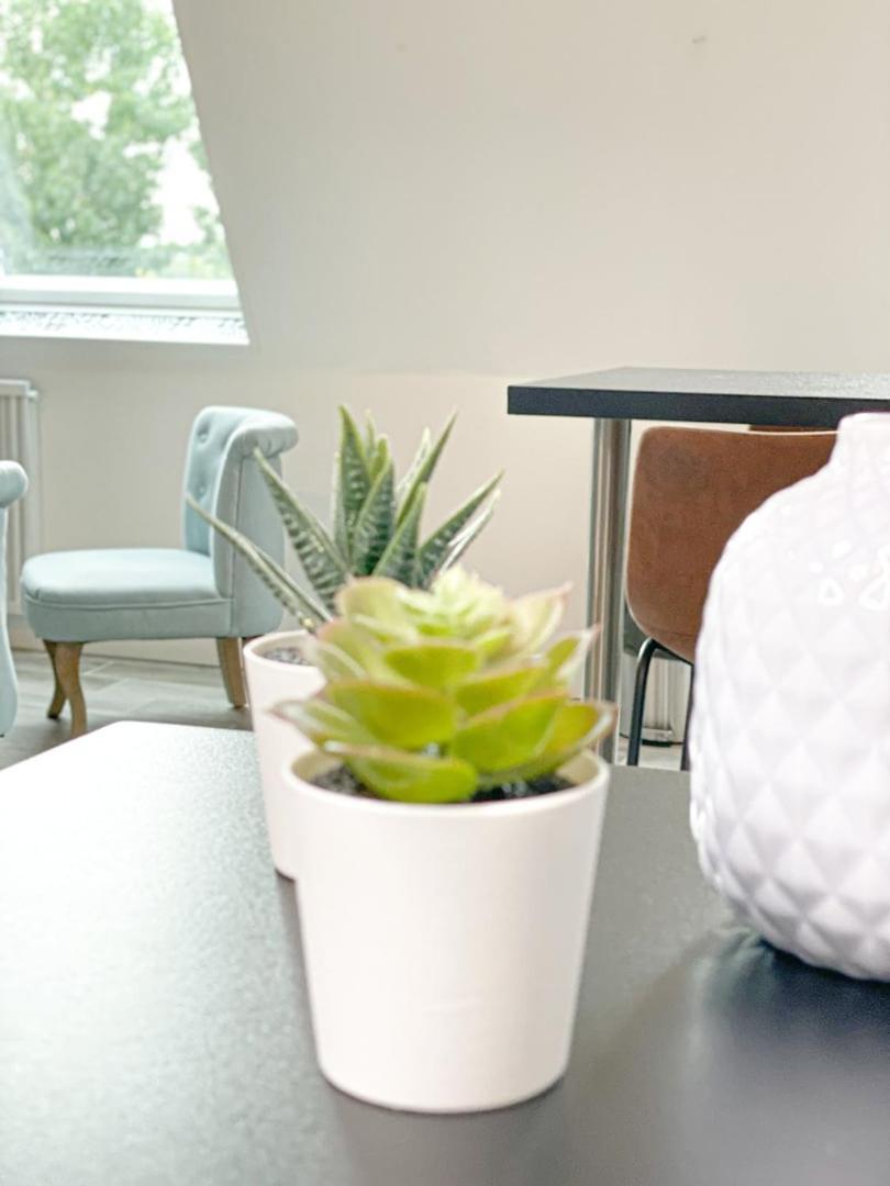Masse Studio Cosy — Caen Apartment Bagian luar foto